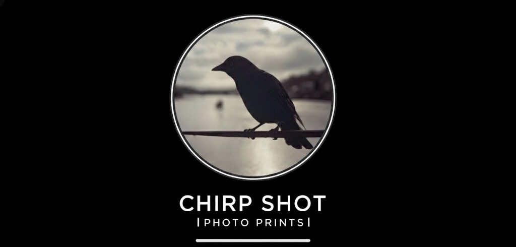 ChirpShot