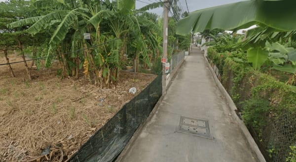 BT67 hẻm 286 , cách mạng tháng tám , từ ngã ba cuối hẻm , rẻ trái đến cầu đá , rẻ phải đến ngã ba cuối hẻm - Ảnh 3