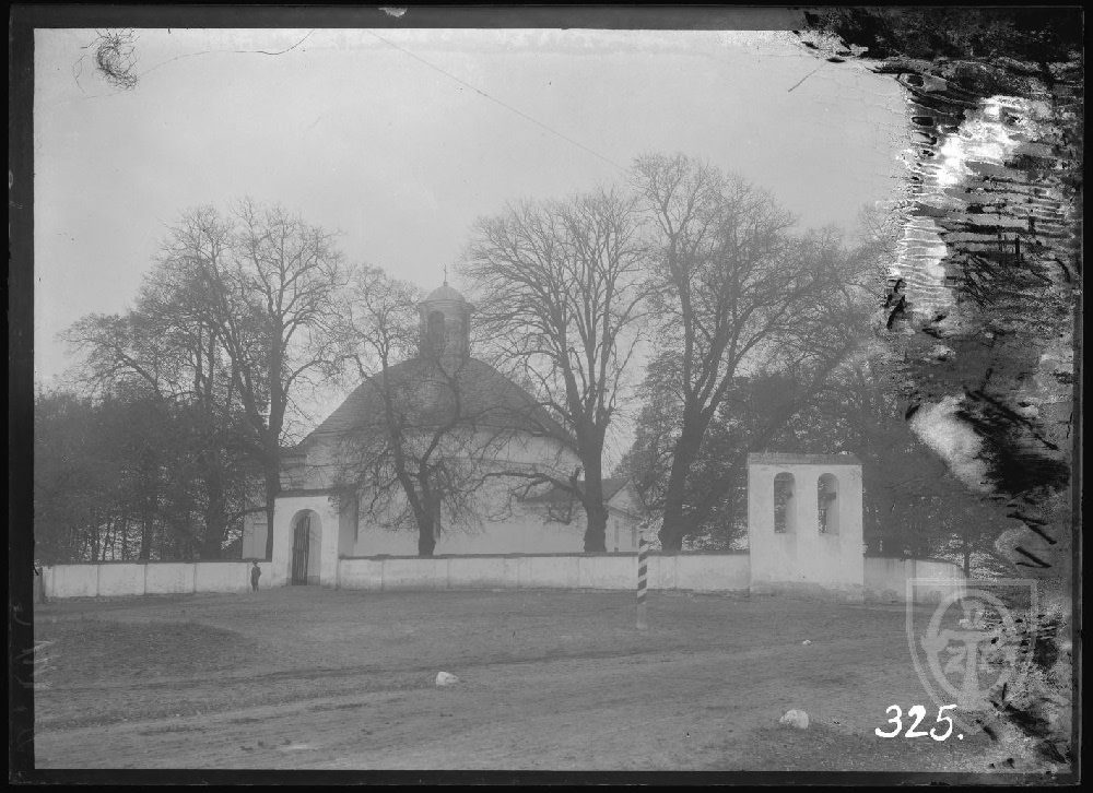 Wrzelowiec