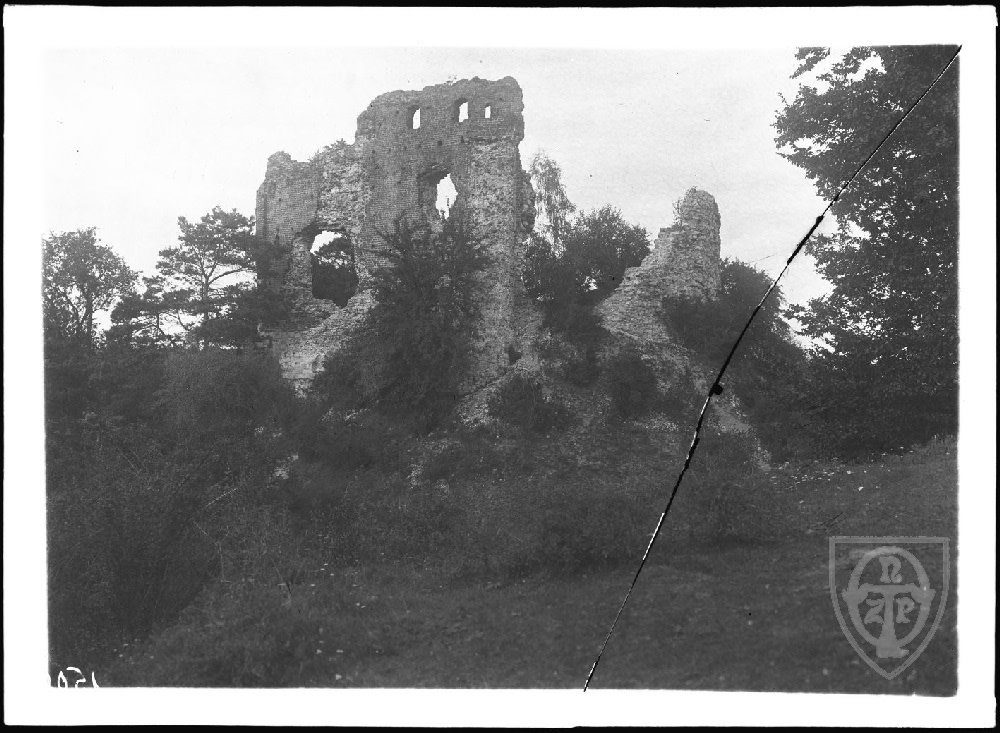Bochotnica
