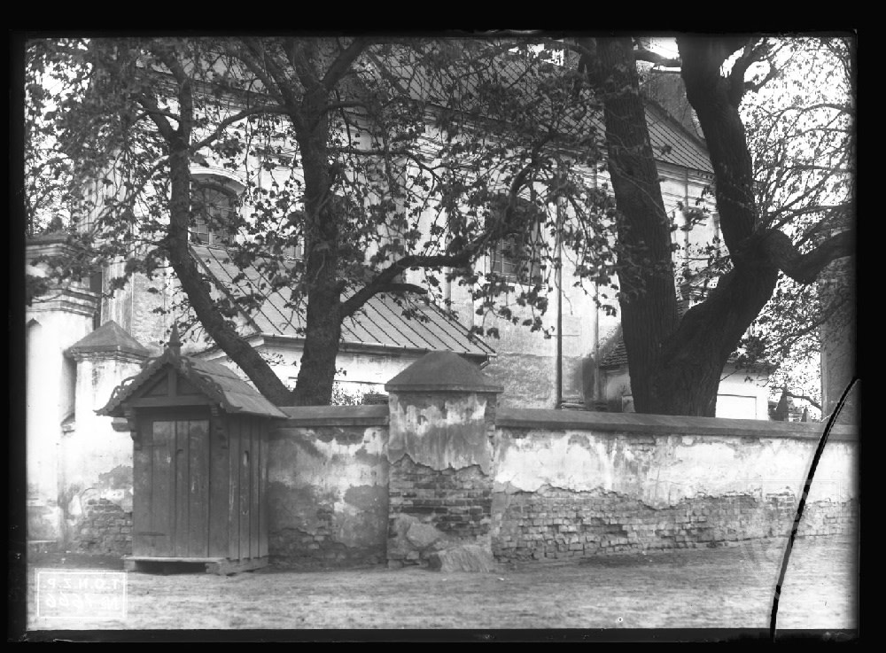 Czarnożyły