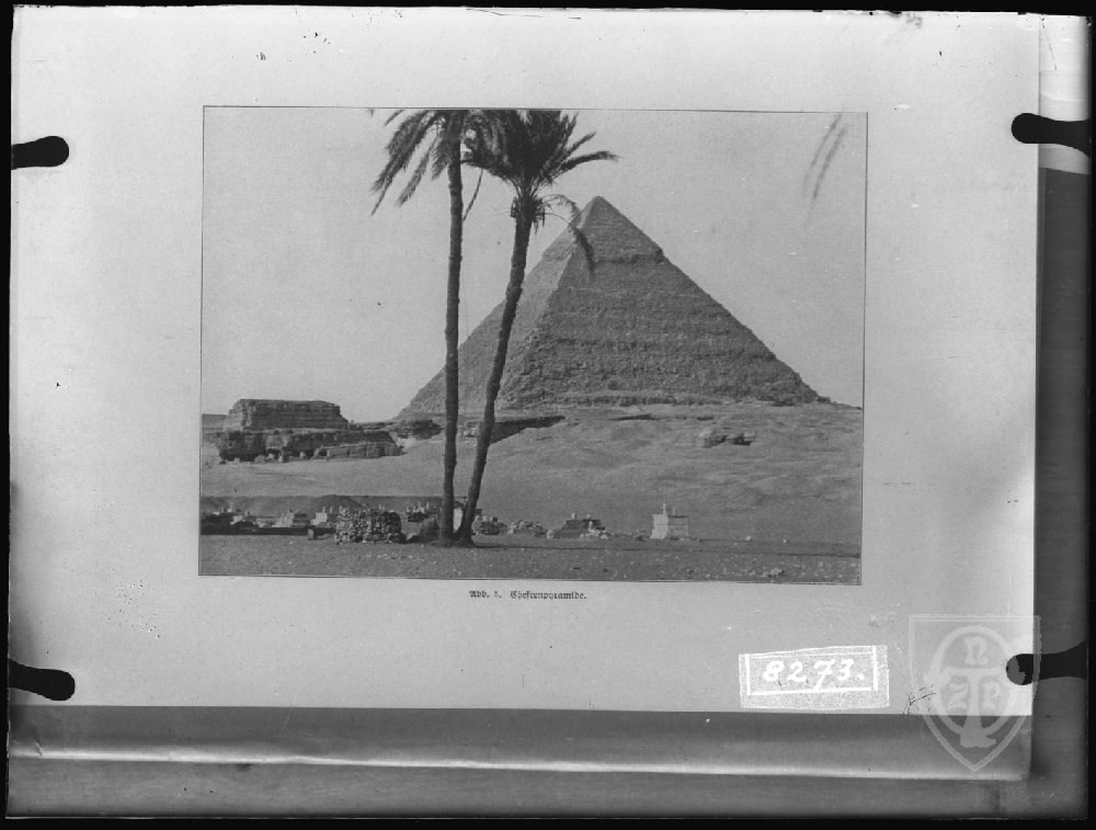 Giza