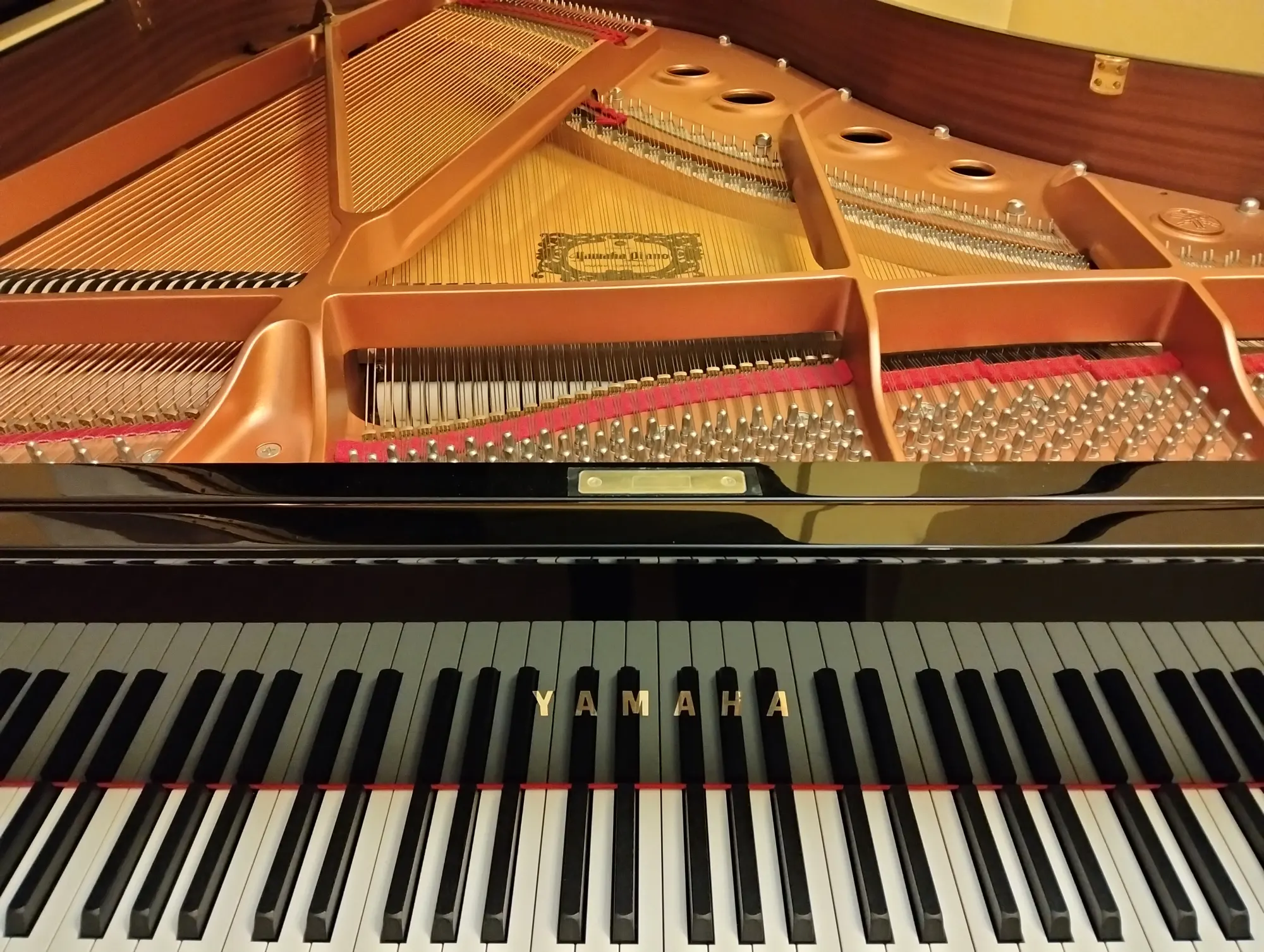 Yamaha C2X Pianoforti a Coda ex demo – foto 2