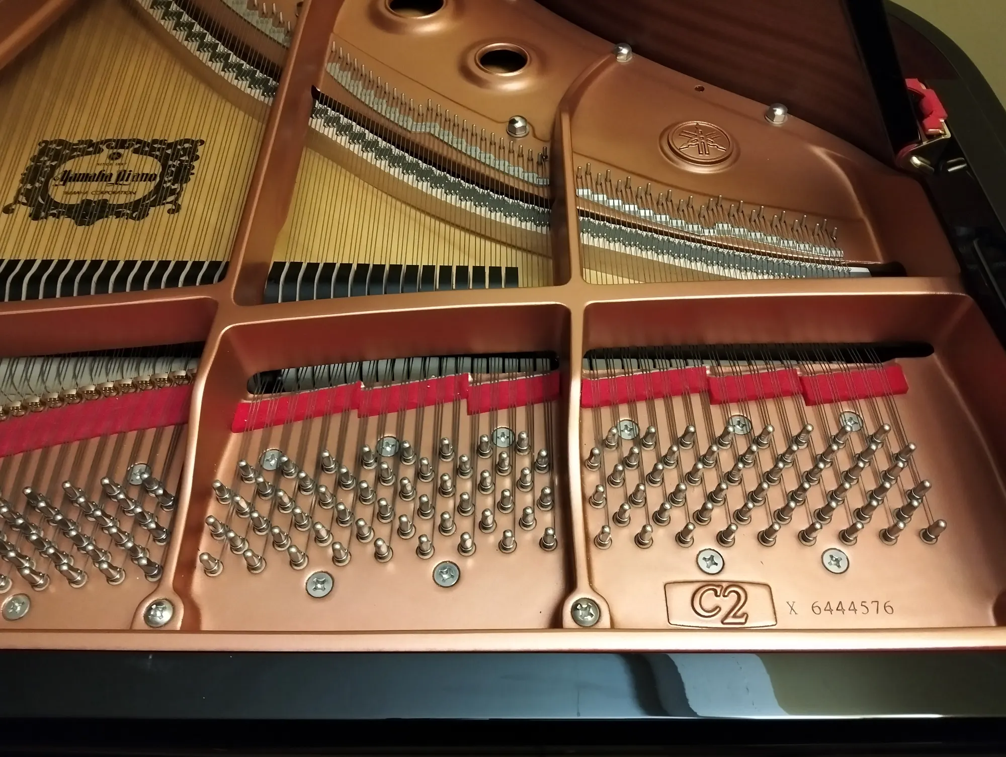 Yamaha C2X Pianoforti a Coda ex demo – foto 3