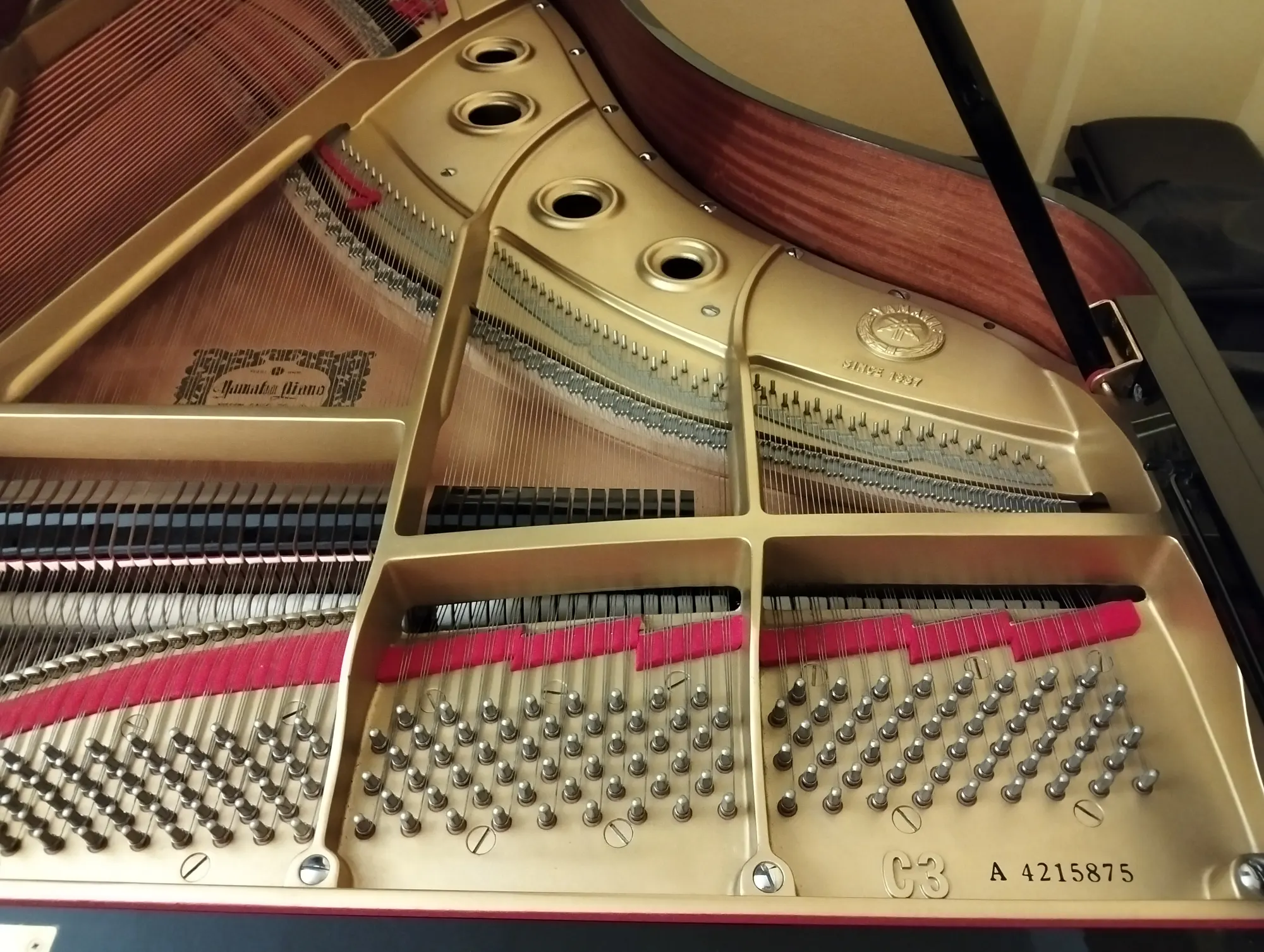 Yamaha C3A Pianoforti a Coda usato – foto 3