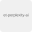 et Perplexity Ai logo