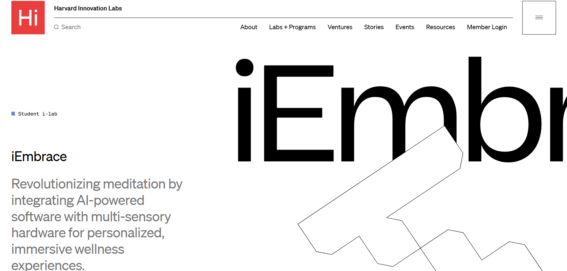 iEmbrace website preview