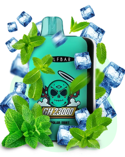 Одноразова Pod-система Elf Bar GH 23000 Polar Mint (М'ЯТА) - оригінальний вейп від Elfbar Одноразова Pod-система Elf Bar GH 23000 Polar Mint (М'ЯТА) від Elfbar - ELFBAR GH 23000 | Купити ...