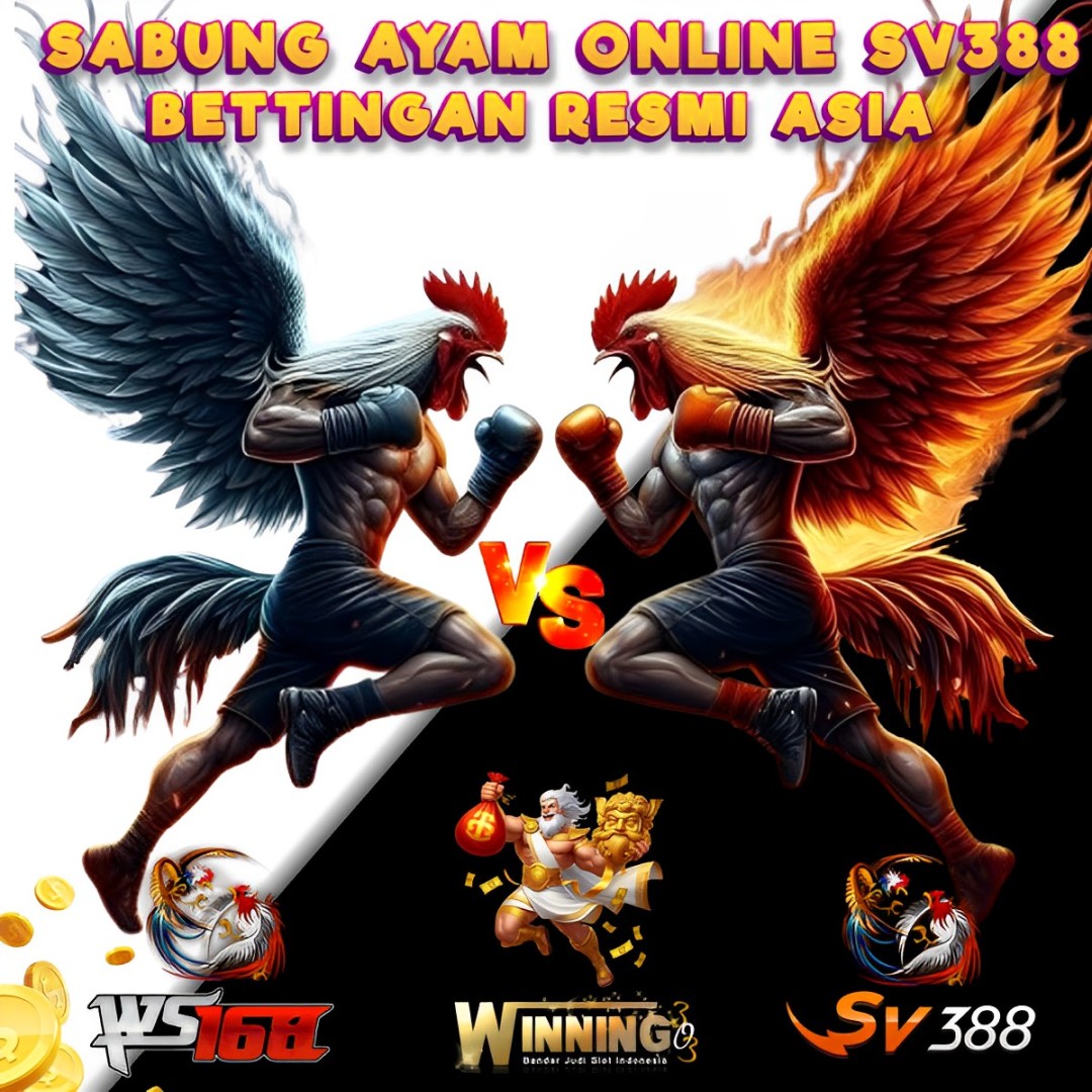 BOMSLOT ~ LINK SABUNG AYAM ONLINE 24 JAM AGEN DIGMAN TERPOPULER HARI INI