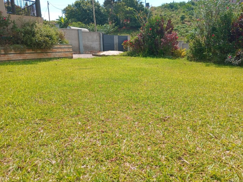 Kitende