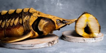 carousel-image