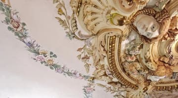 carousel-image