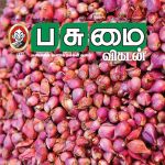 Pasumai Vikatan (பசுமை விகடன்) - 25.11.2018