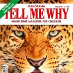 Tell Me Why - October 2018
