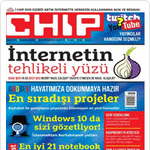 Chip