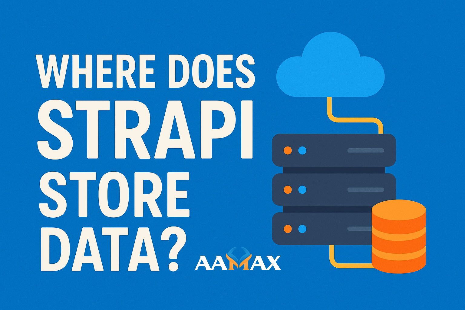 Where Does Strapi Store Data