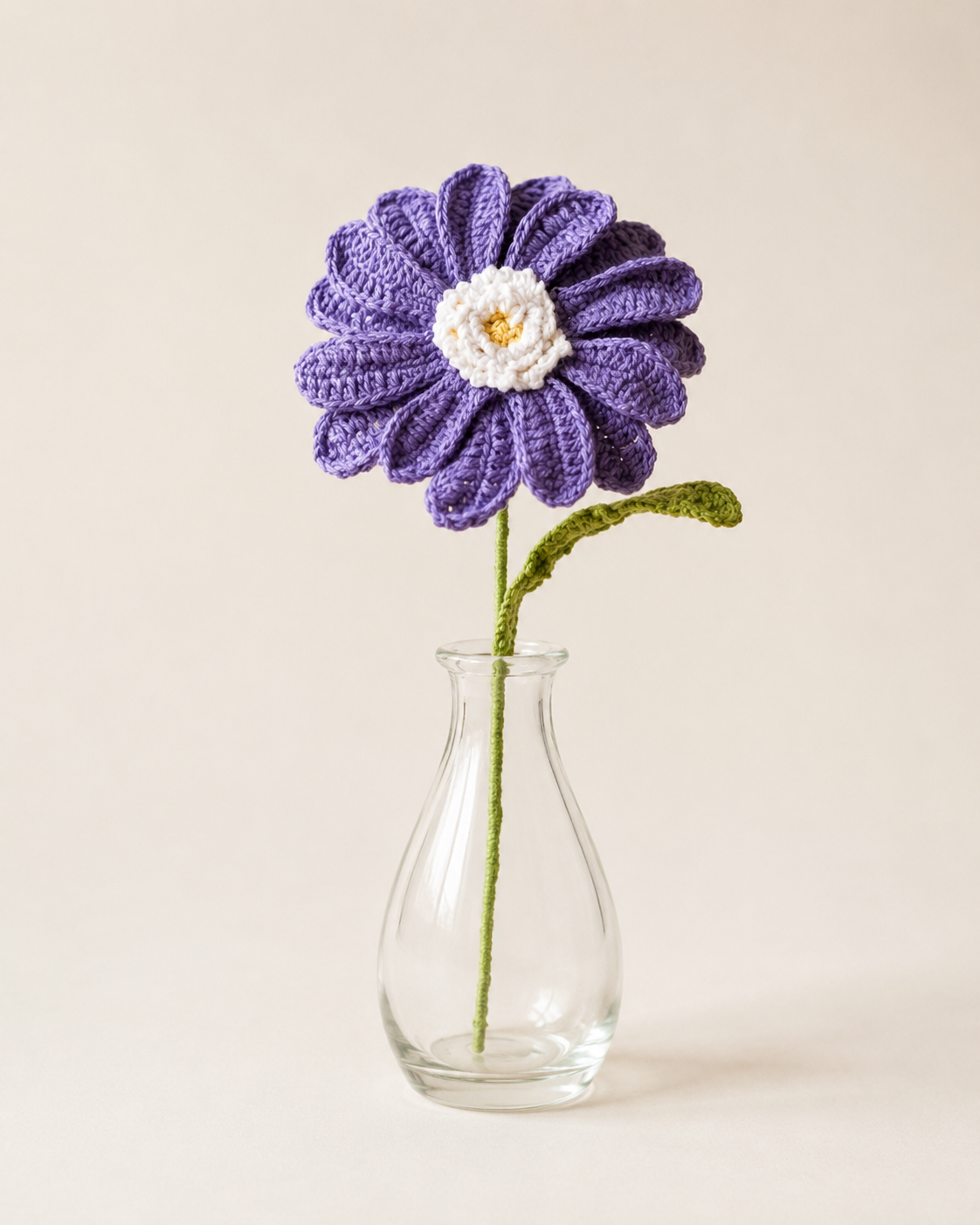 Lavender Meadow African Daisy Stem displayed in a clear glass vase on a neutral background.