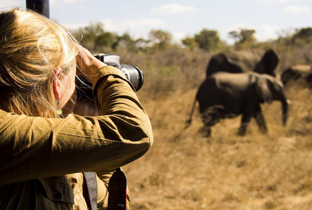 Photographer capturing wildlife in Kenya's savannah