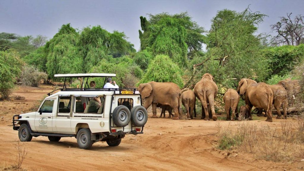 6-Day Delightful Kenya Safari