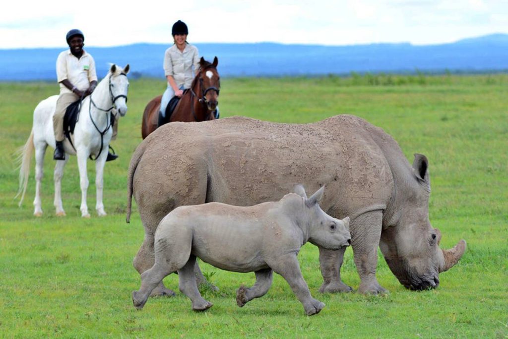 8 Days Kenya Adventure Safari