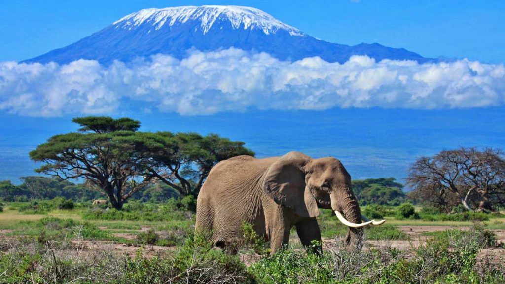 6-Day Kilimanjaro Classic Safari