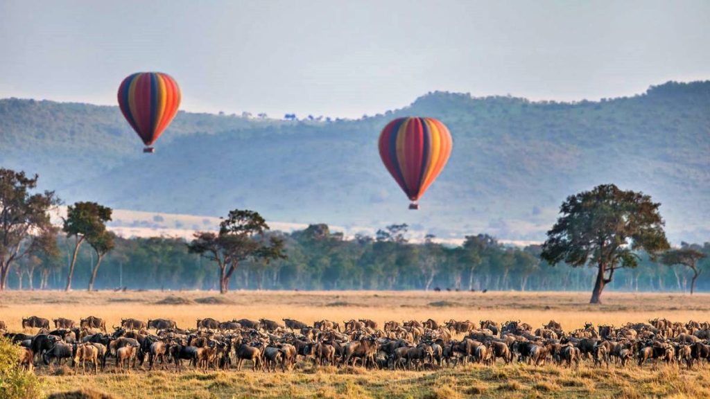 3-Day Masai Mara Flying Safari