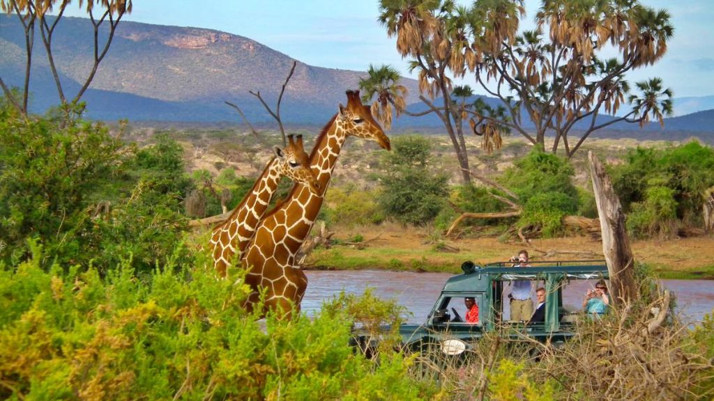 3-Day Masai Mara Classic Road Safari Adventure