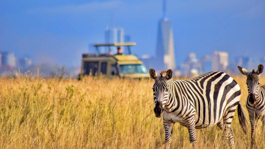 Nairobi National Park Day Trip