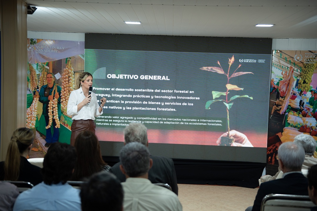 Gobierno busca duplicar exportaciones forestales mediante política nacional para impulsar al sector