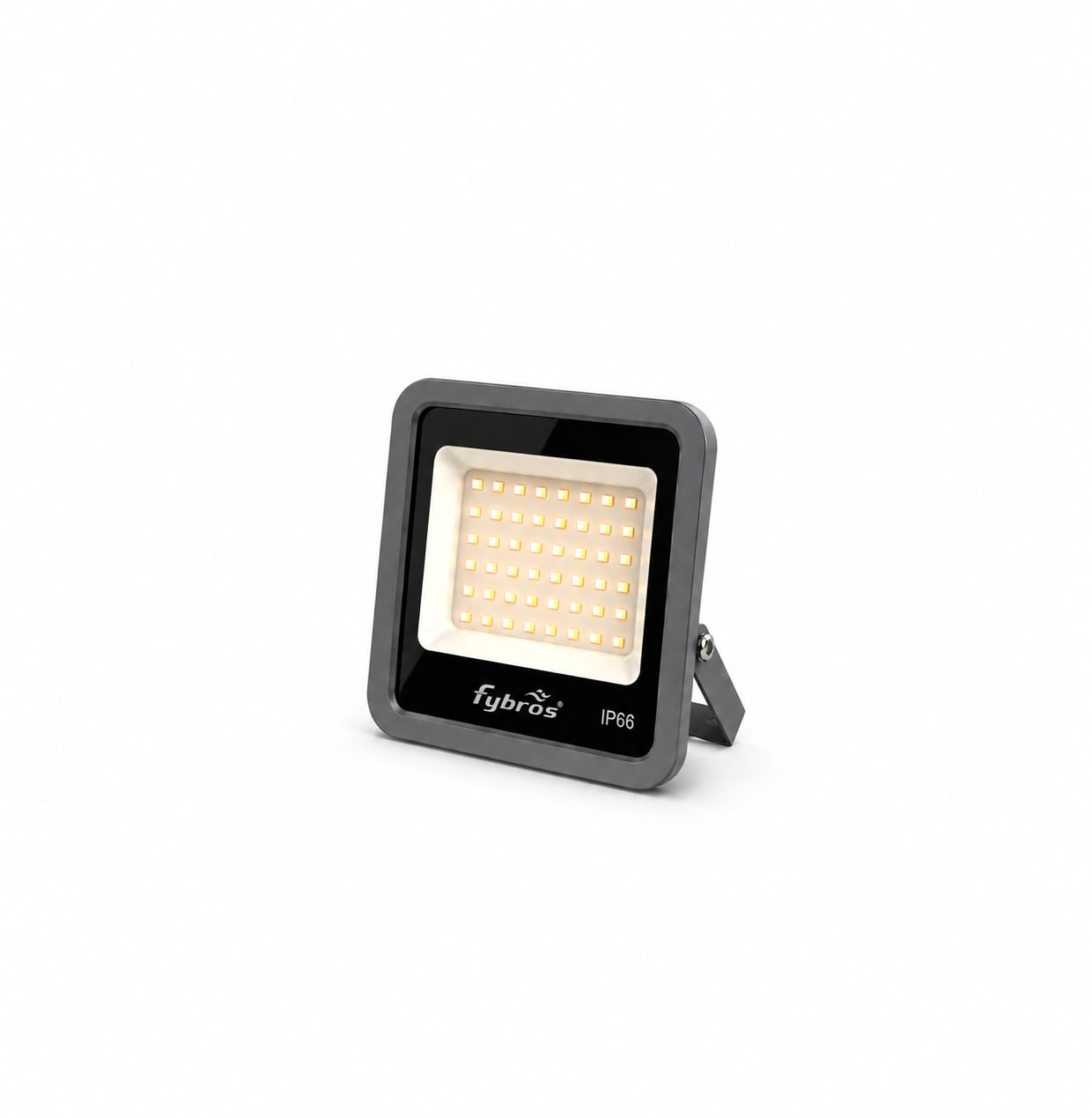 30W Ziva Glass Flood Light