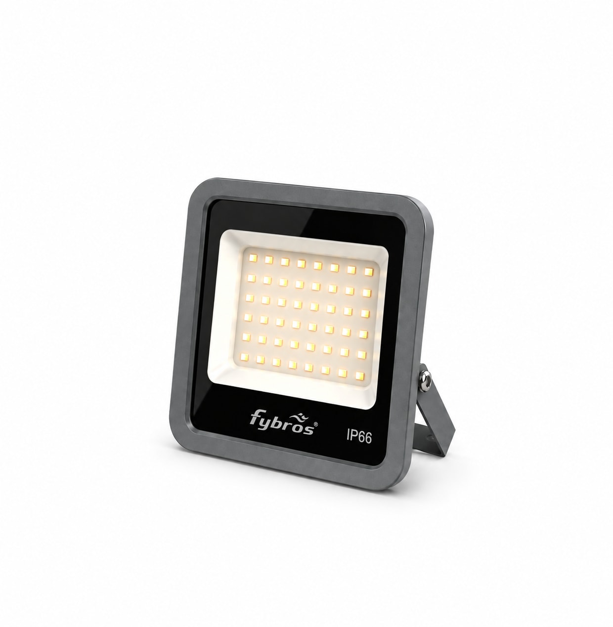 100W Ziva Glass Flood Light 