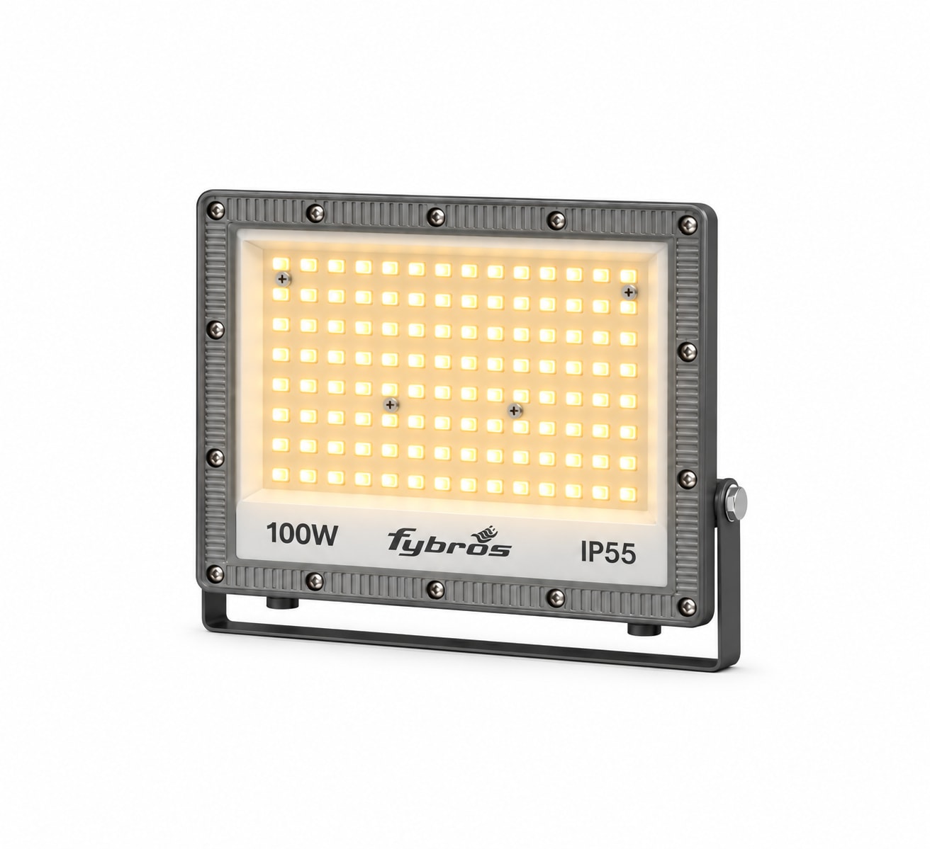 100W Zefy Flood Light 