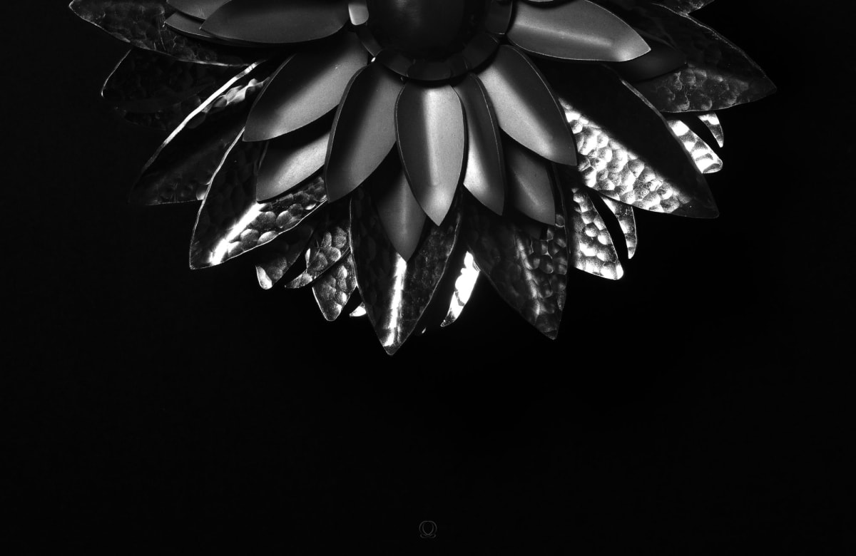 Bloom Edition 01