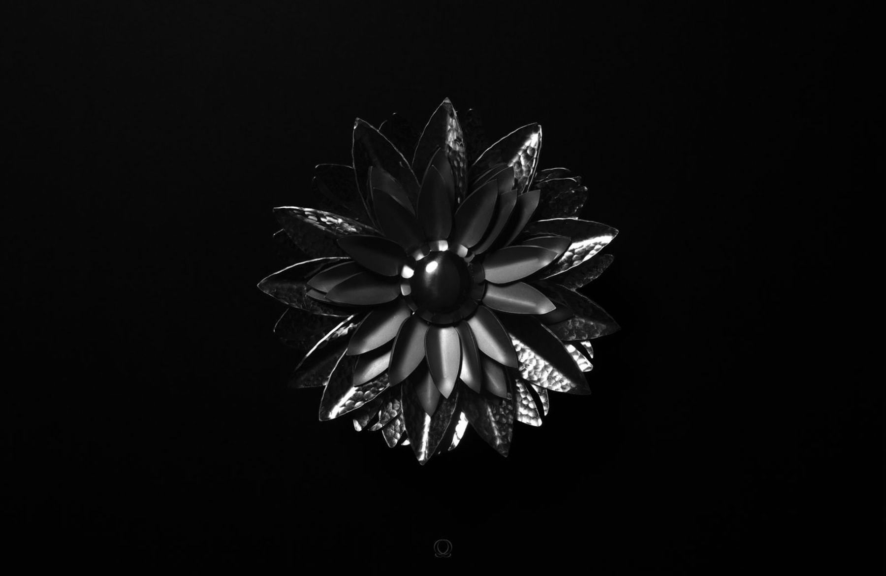 Bloom Edition 01