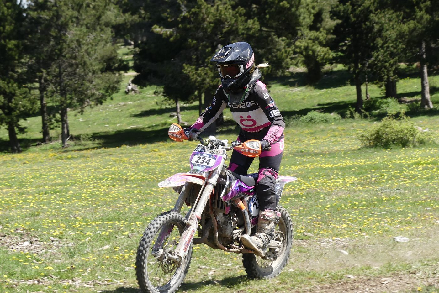 Ivet
