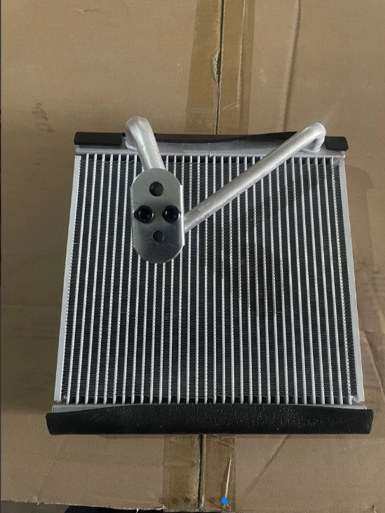 EVAP ACCENT RB DZ 2019