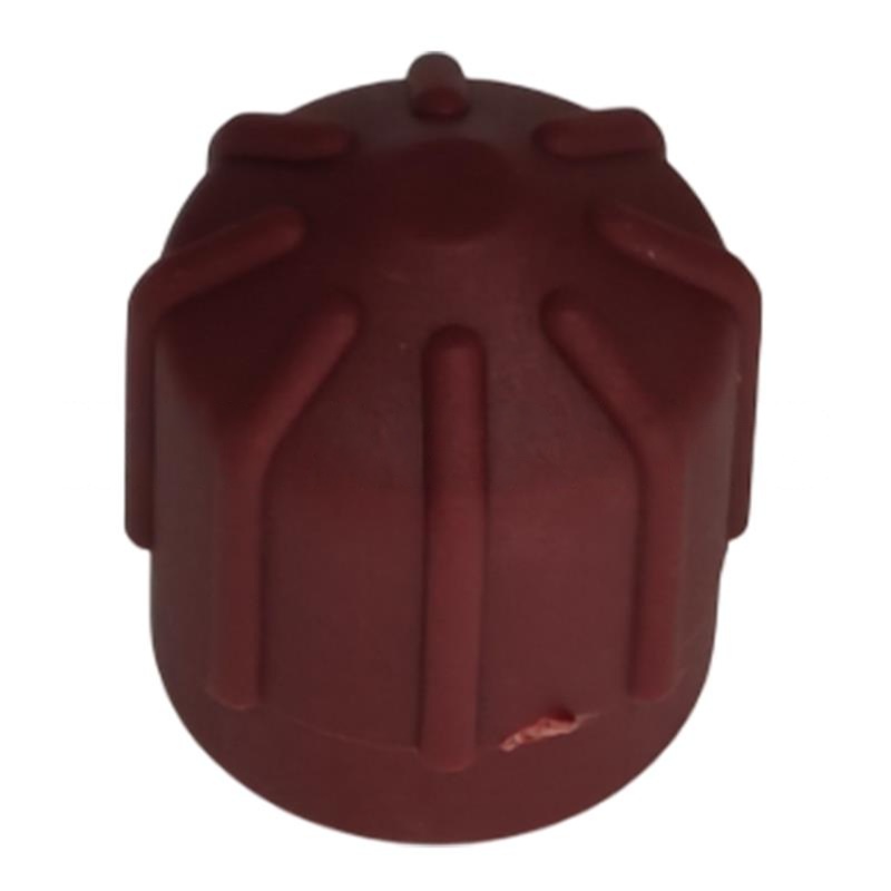 BOUCHONE VALVE HP SP005
