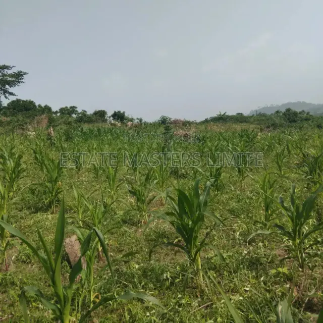 Land at Wurishe