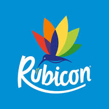 Rubicon logo