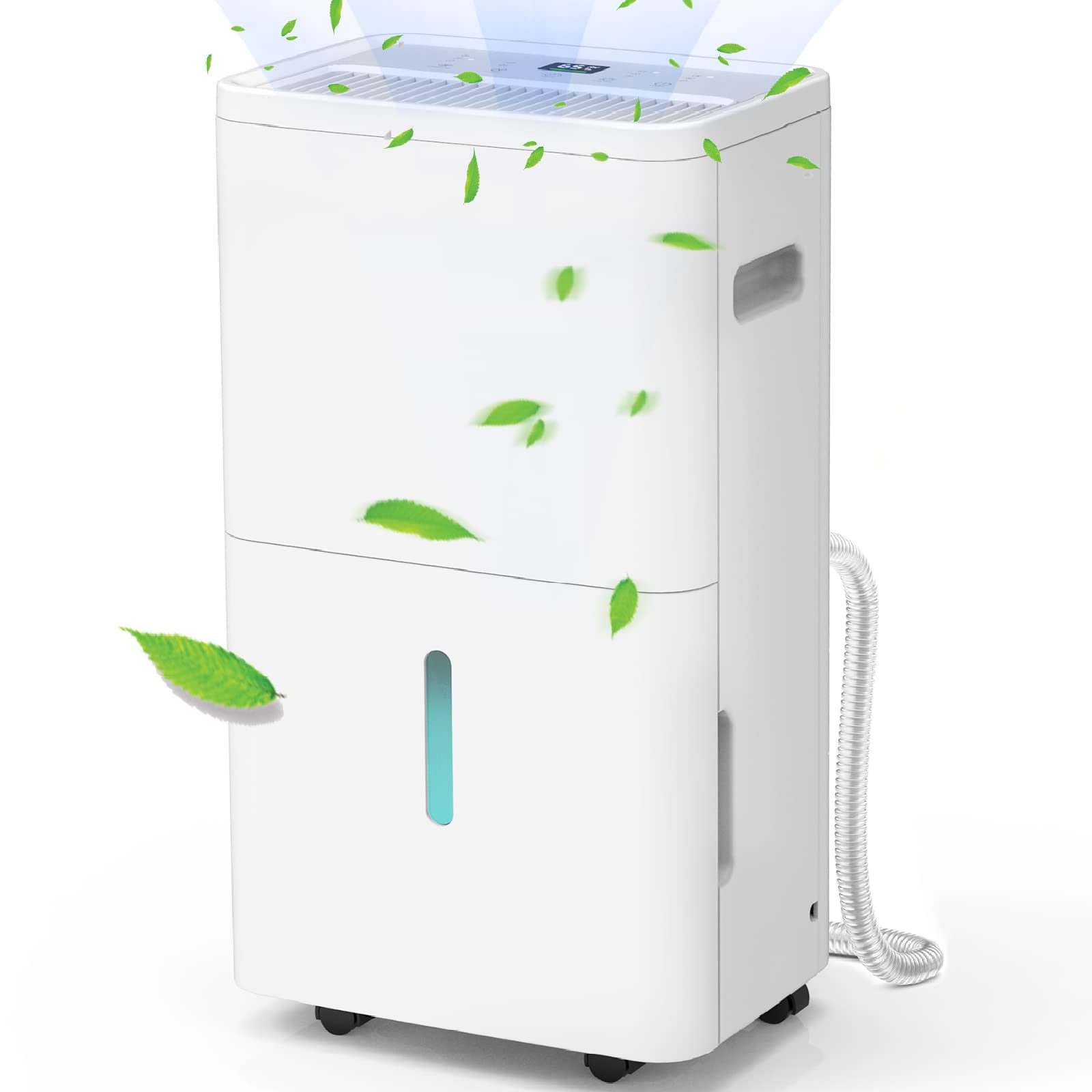 Dehumidifier For Basement