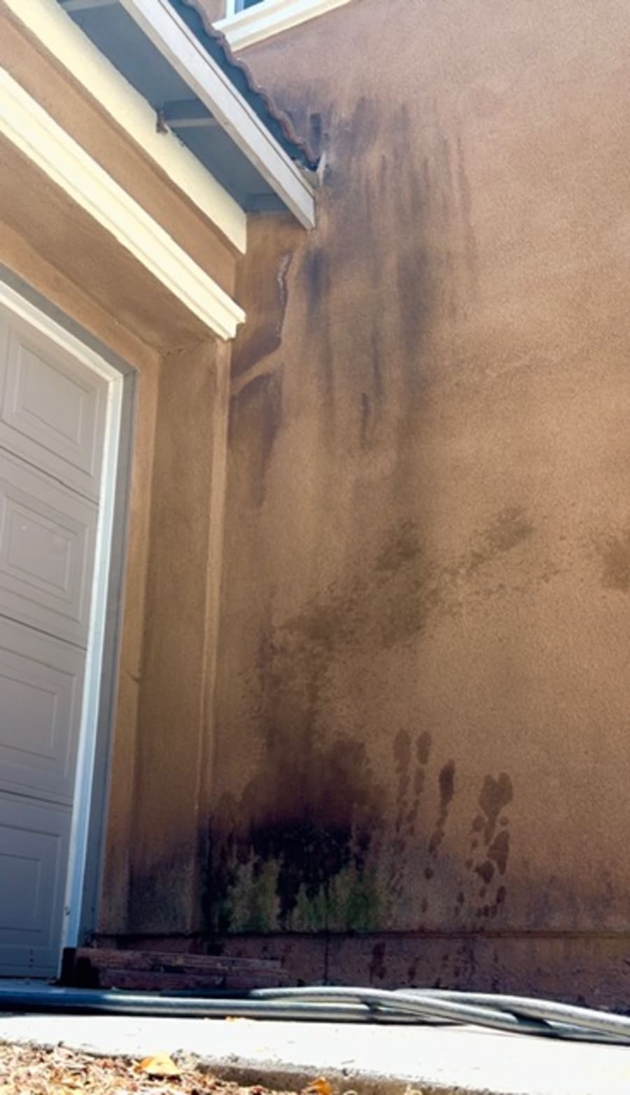 Stucco wall before soft washing, covered in algae and black streaks