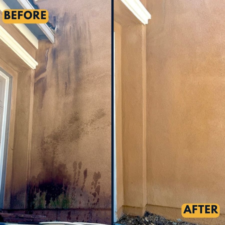 Before and after algae removal