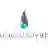 Northspyre logo