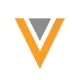 Veeva Systems Logo