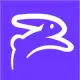 ChartHop Logo