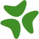 Bloomerang Logo