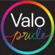Valo Health Logo