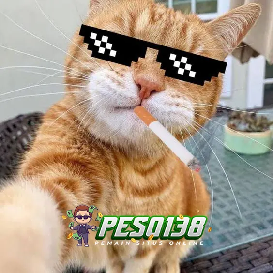 Peso138 🐻 Alamat Bisnis Online Untuk Daftar & Login