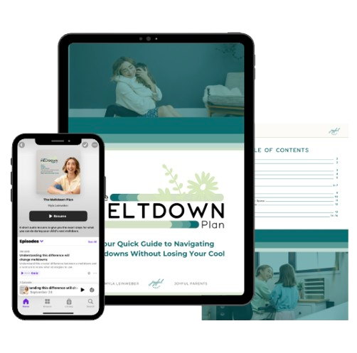 The Meltdown Plan product