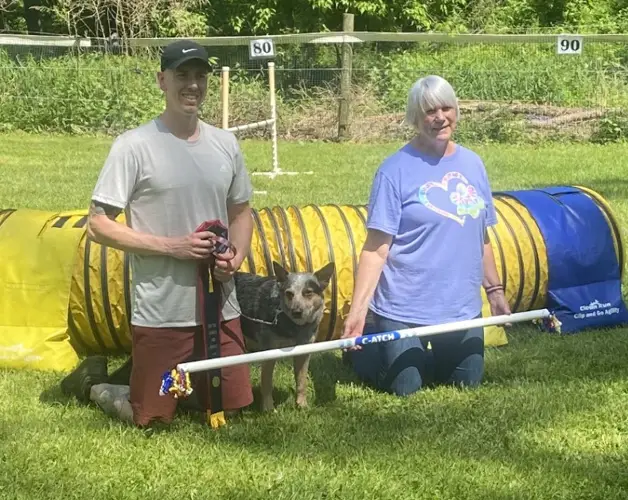 Australian Cattle Dog Agility Training How to Train Your ACD for the Ultimate Performance